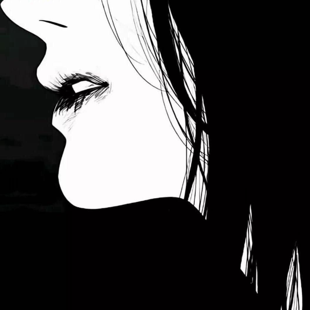 ㅤㅤTv•