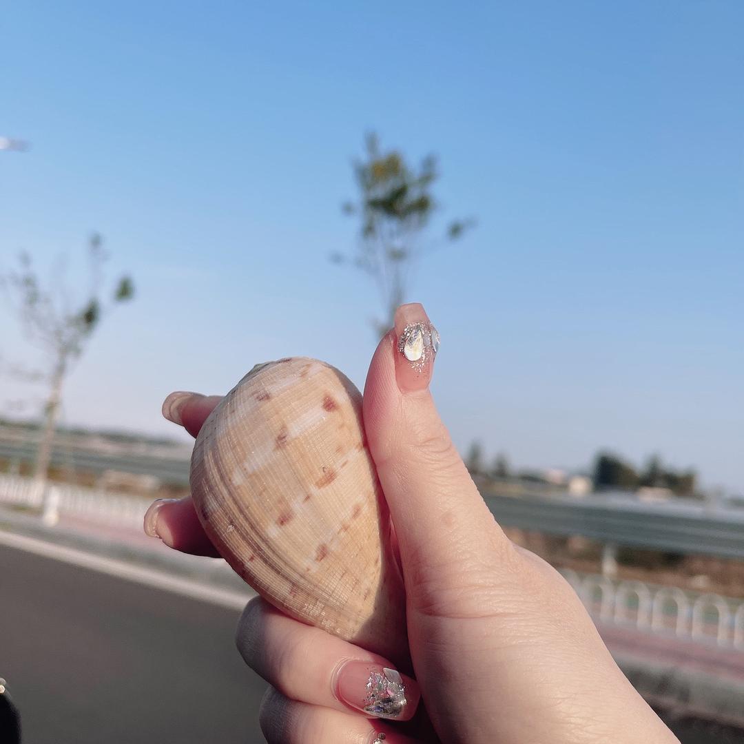 叶、叶子🍃