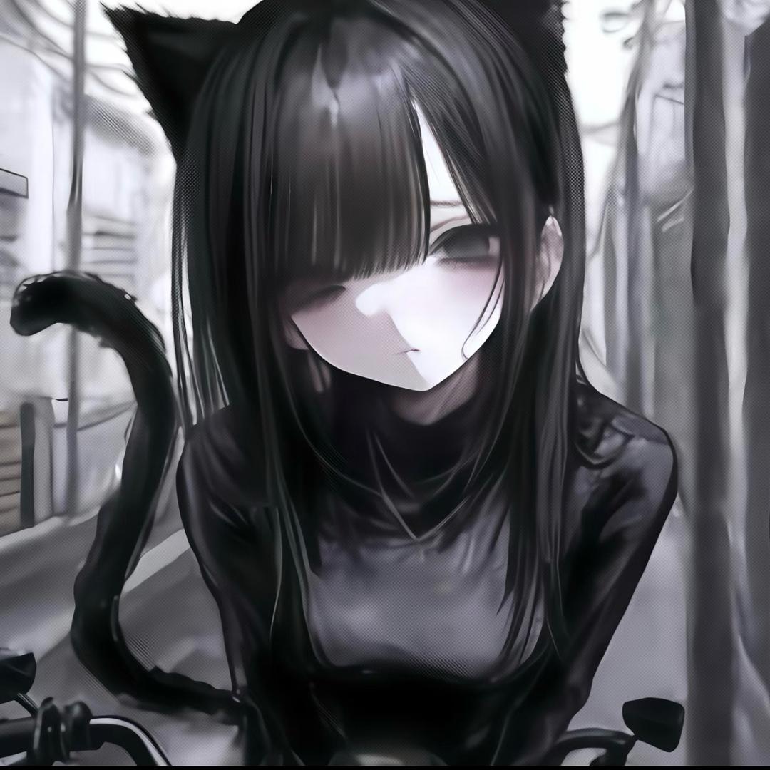 布偶猫猫