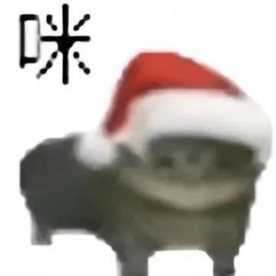我的桌子两团乱