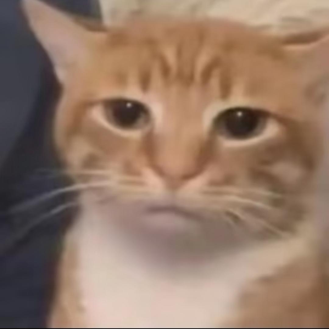 你的可爱我照单全收