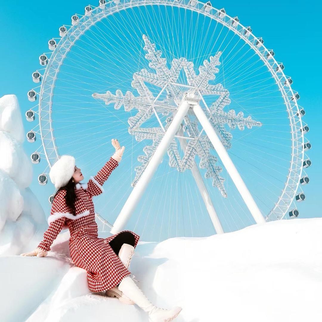 哈尔滨雪乡定制游Dream