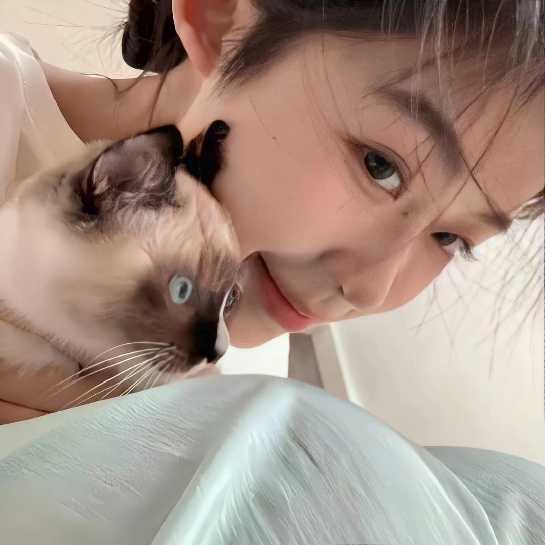 呆呆