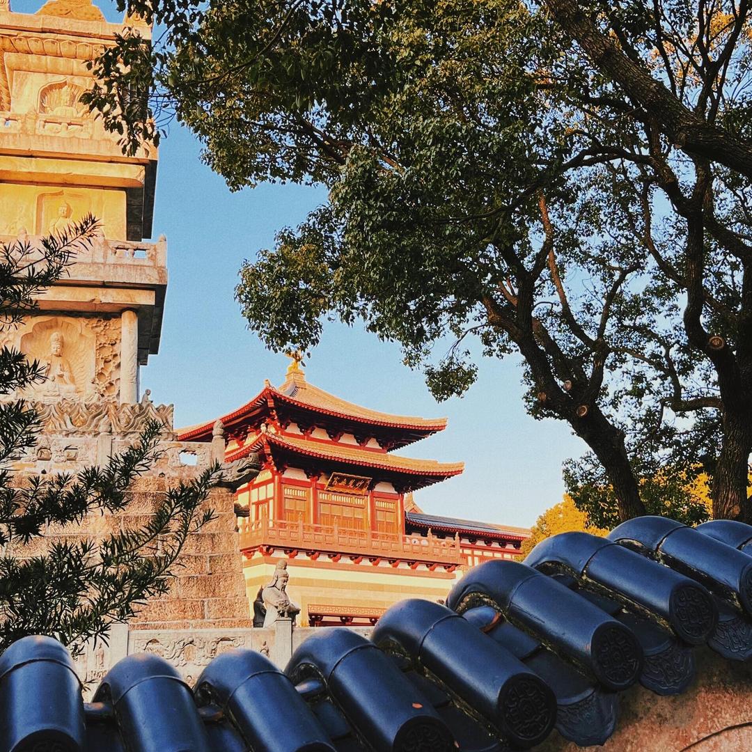 禅意微光