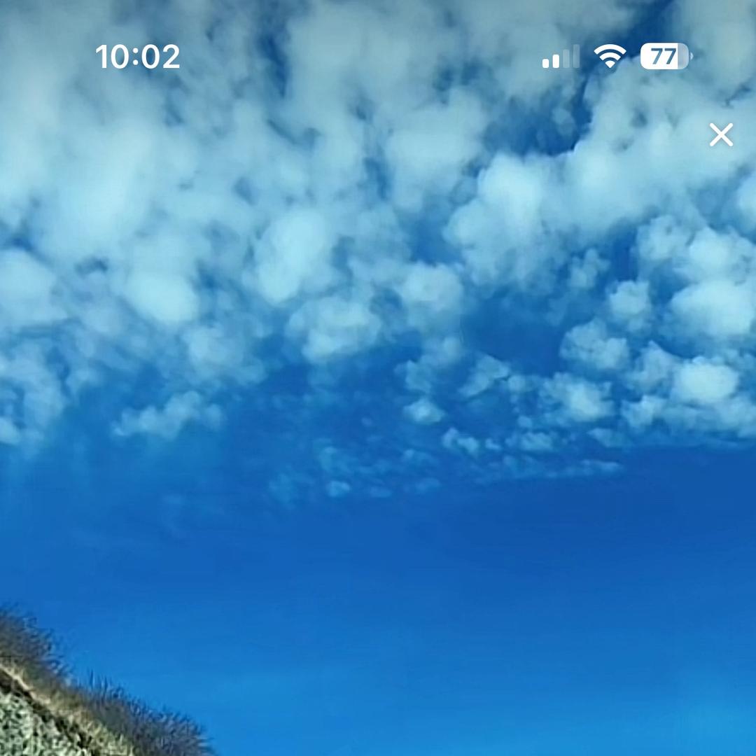 孤心傲雪💃