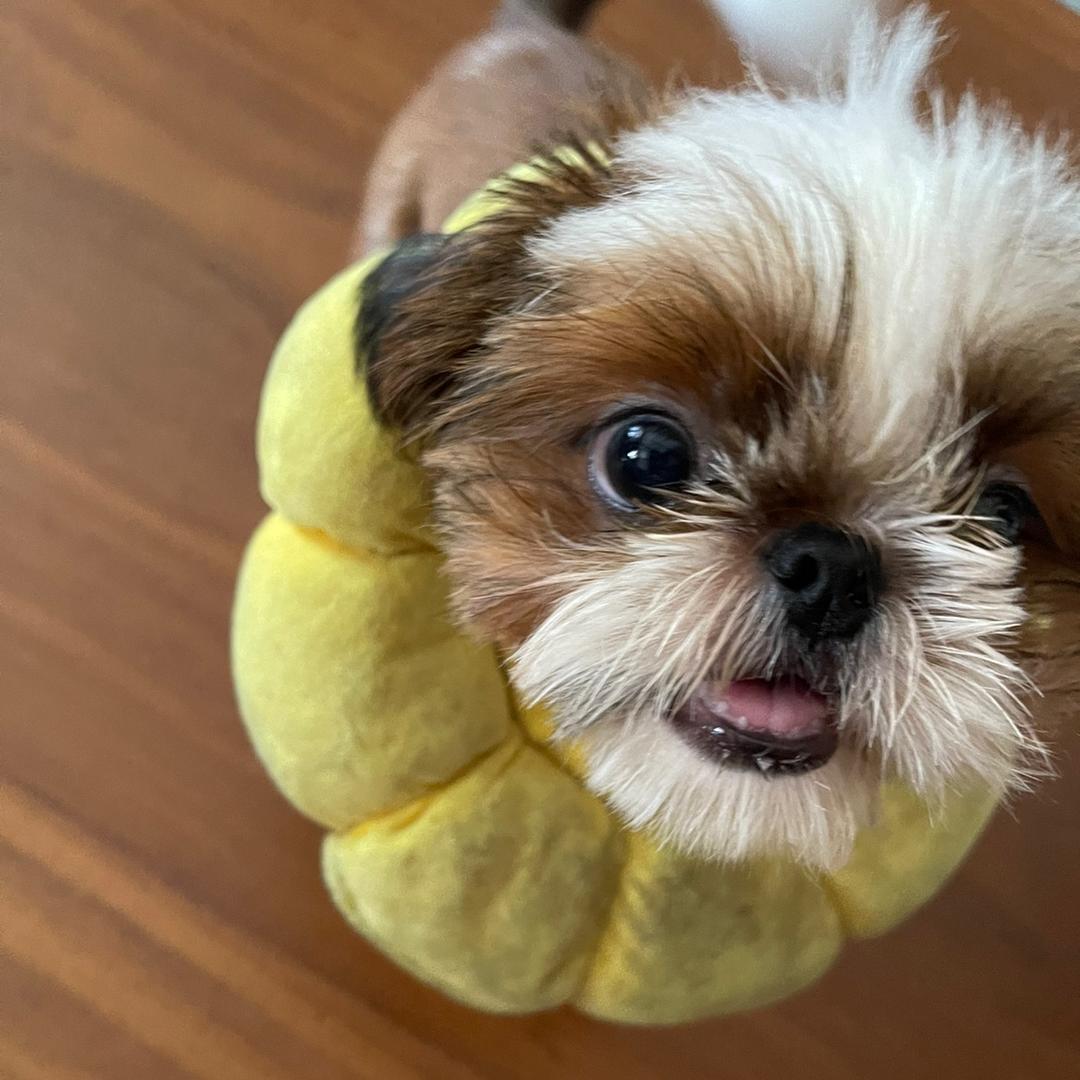 小心心心