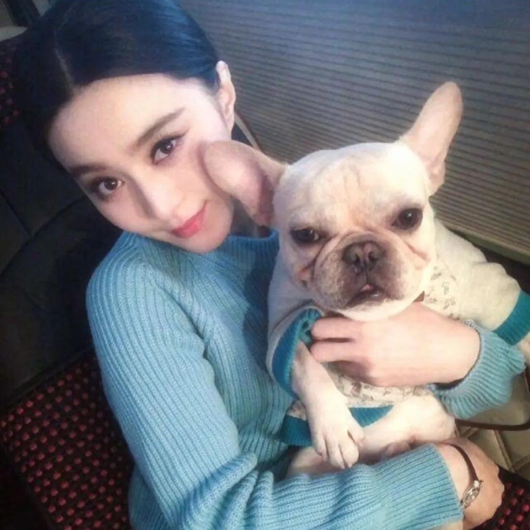 汇汇子