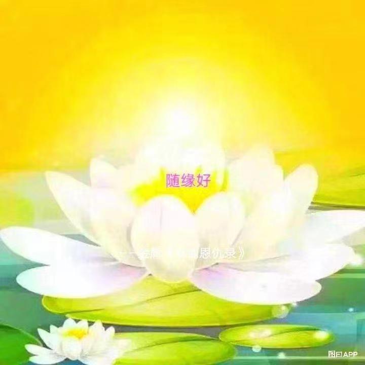 张家三姑娘《拒绝私聊》