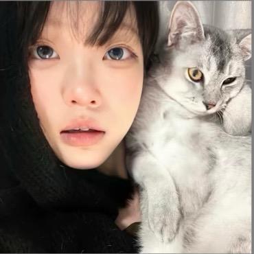 养只猫🐾