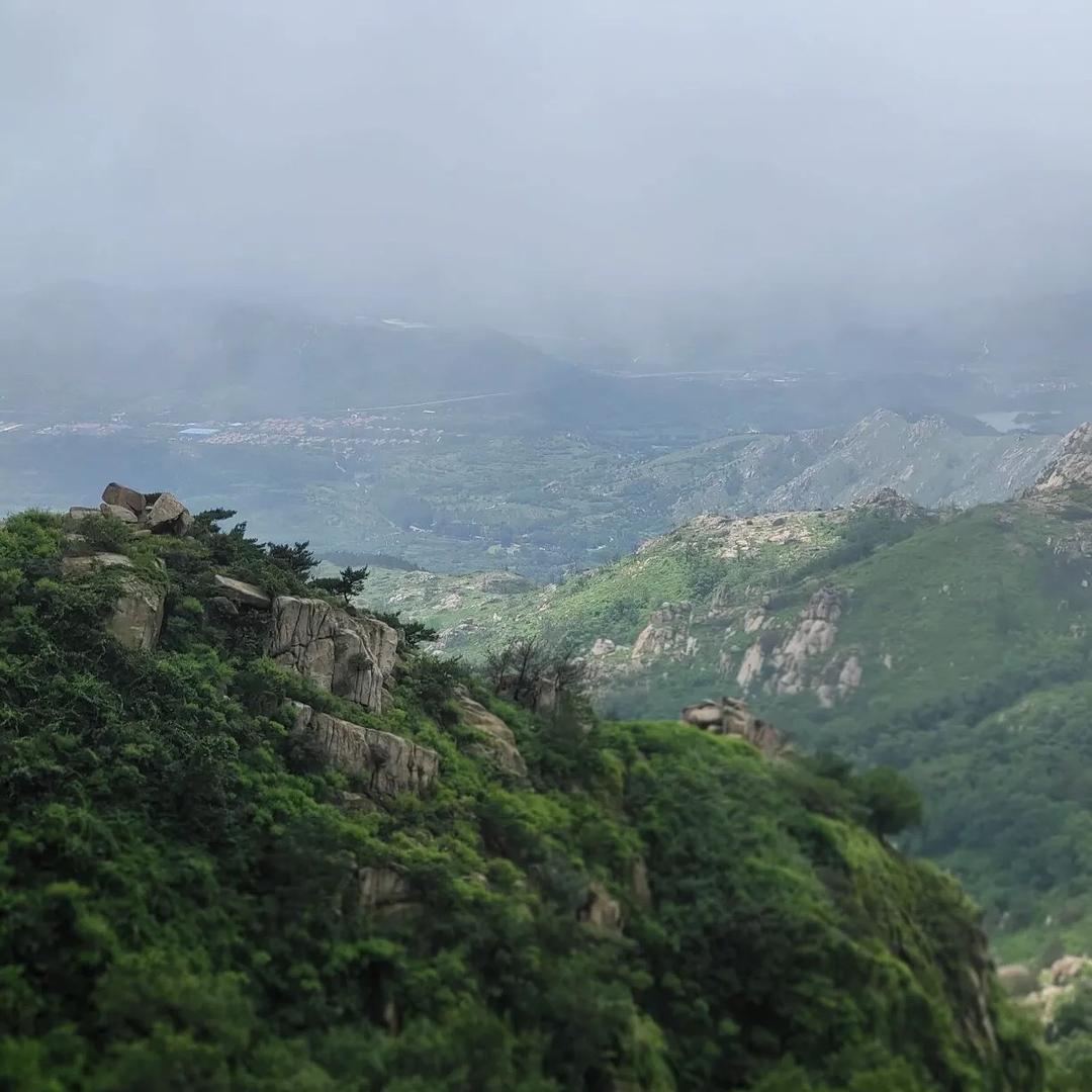 青岛龙神科技有限公司