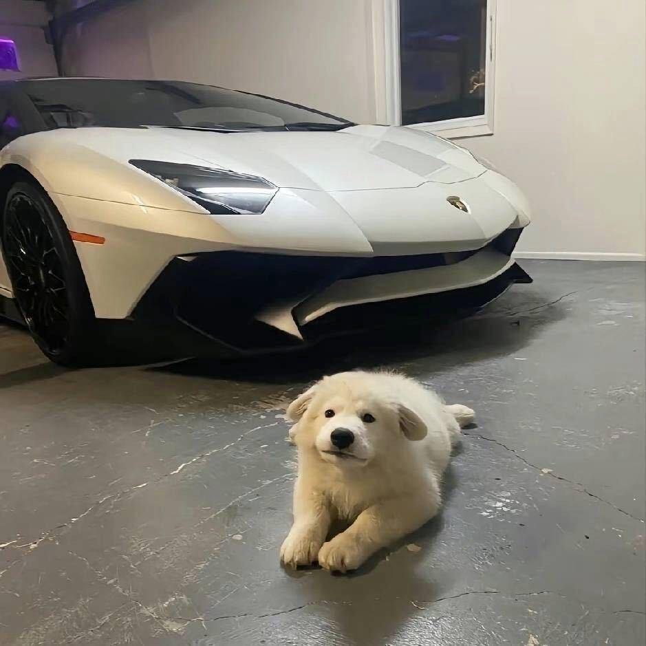 𝙇𝙞𝙪𝙯𝙩📸