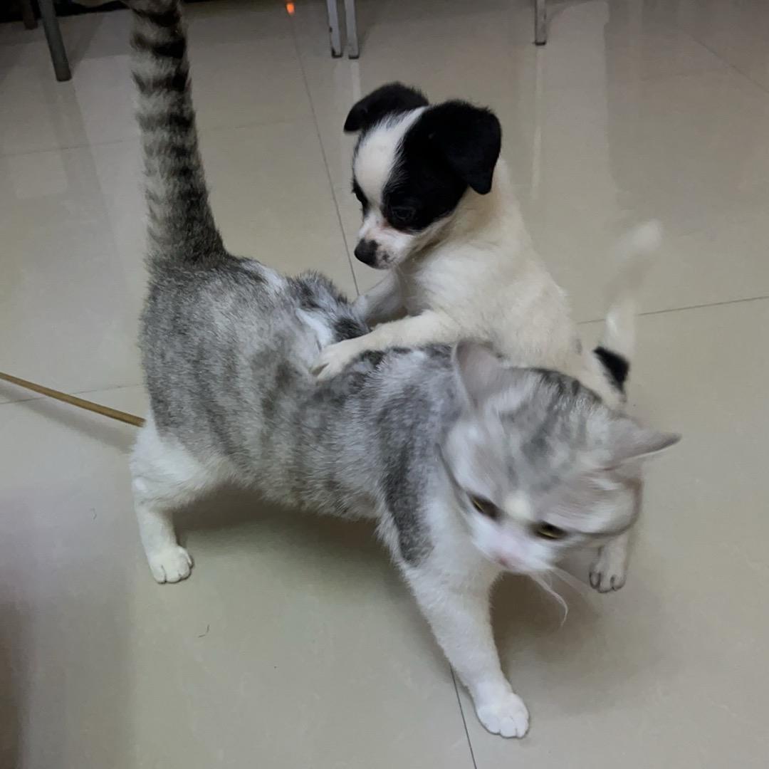 蓝桉🥰