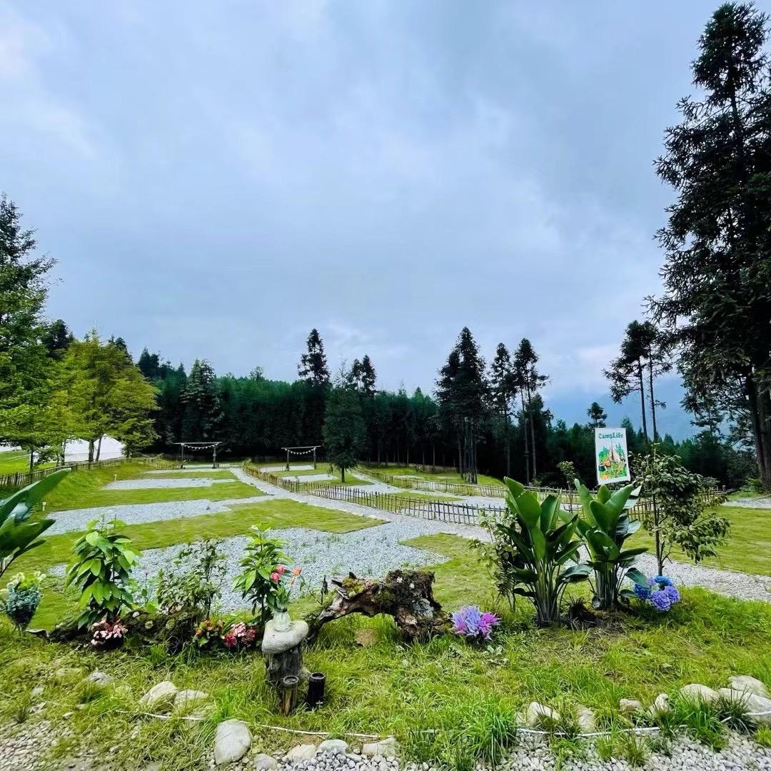 小小慧