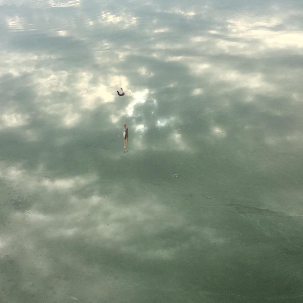 不要叫我皮卡丘