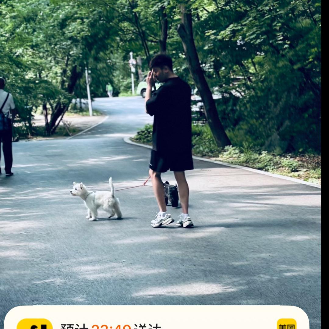 小野不野_
