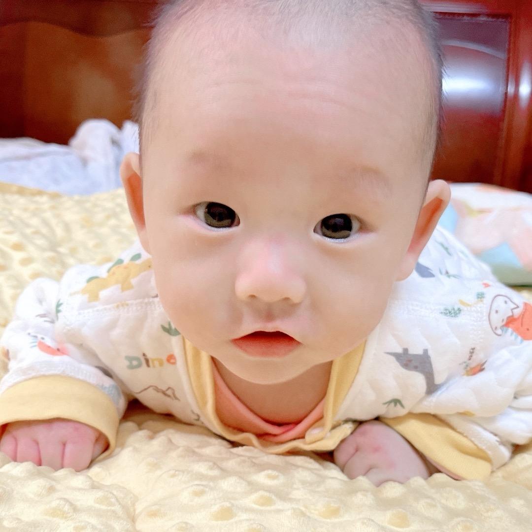 是泽泽呀