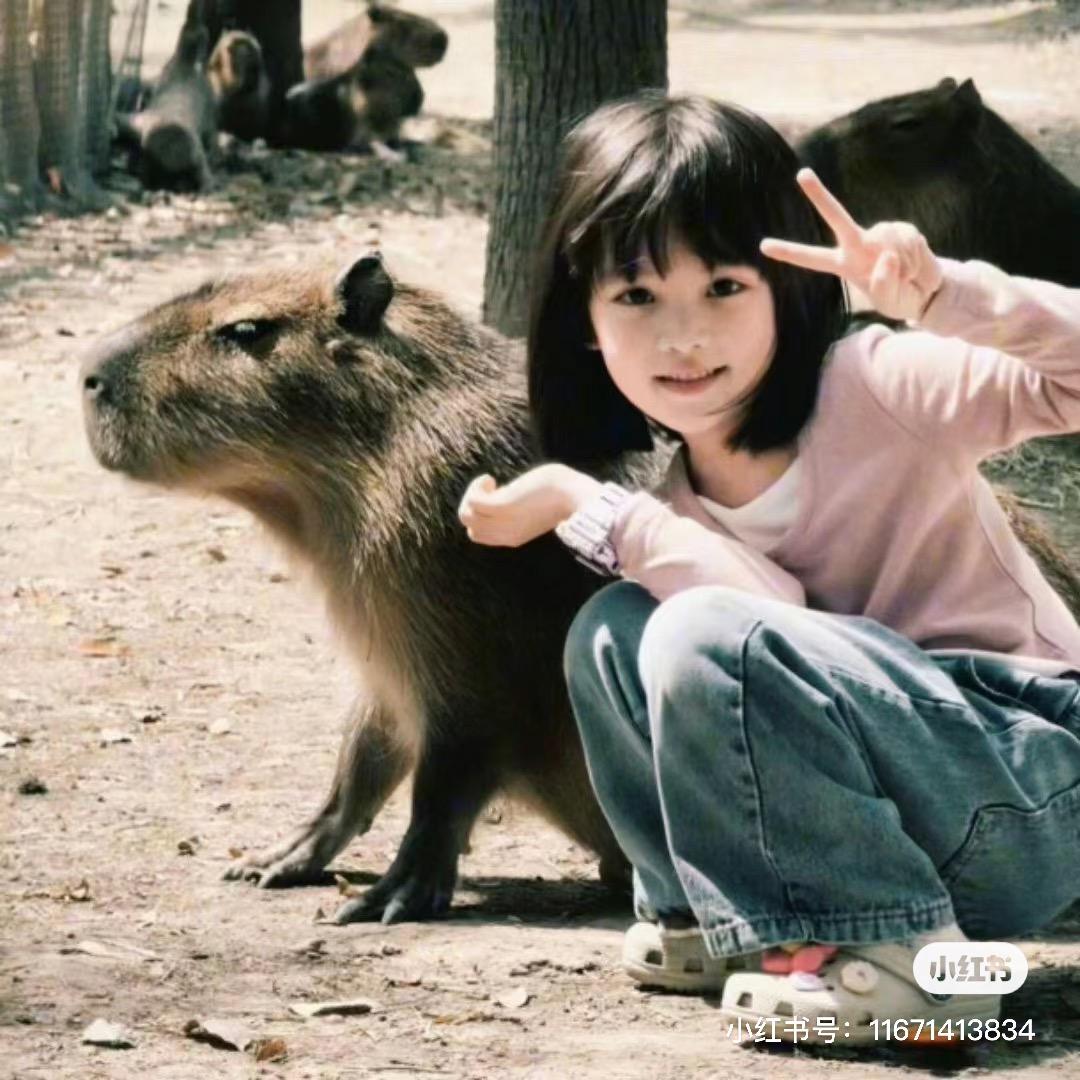 小ᶠ淇.