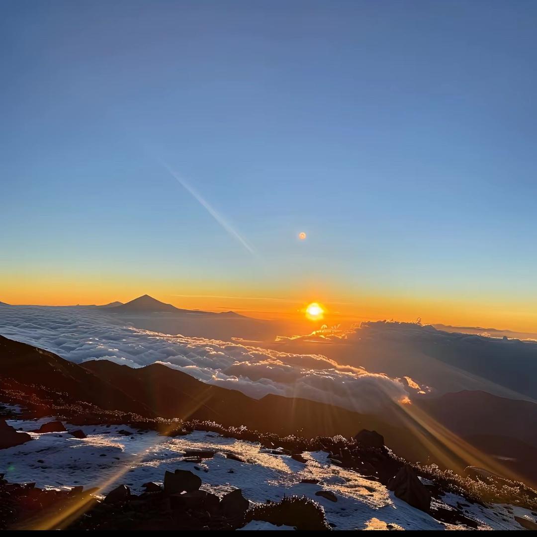 茂柳愧直播2号