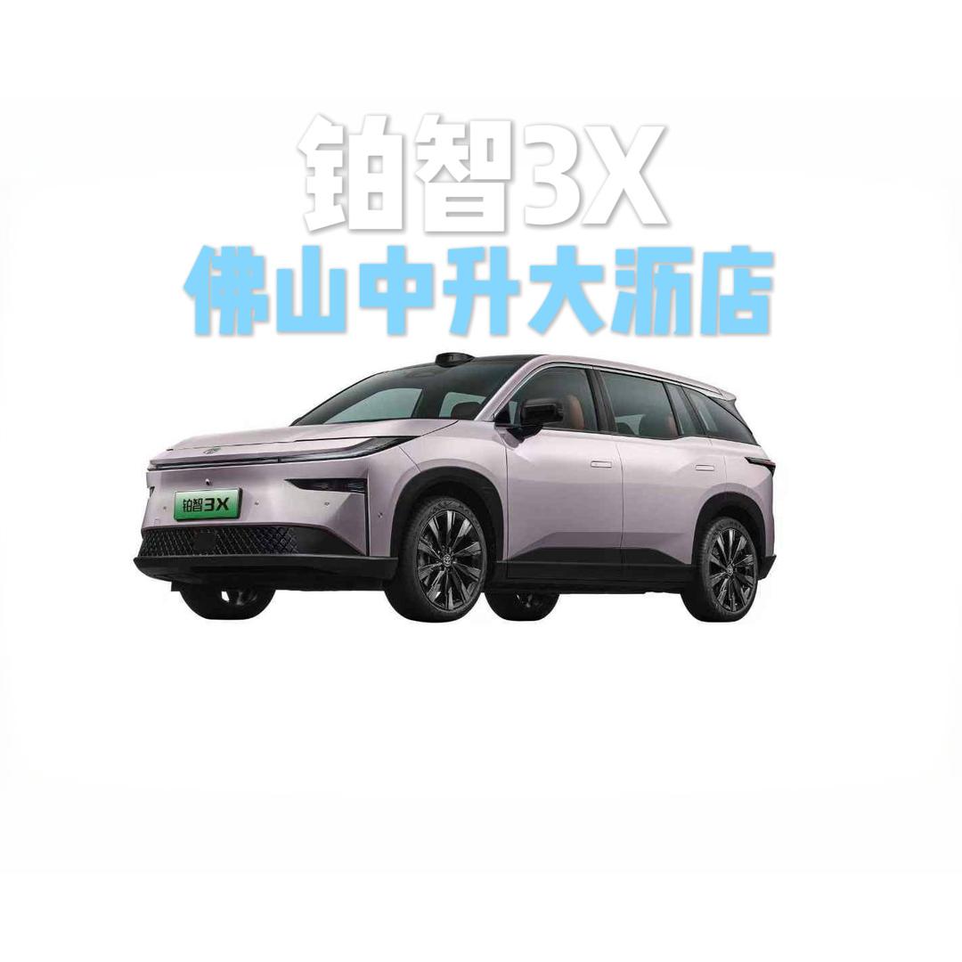 铂智新能源佛山中升大沥店