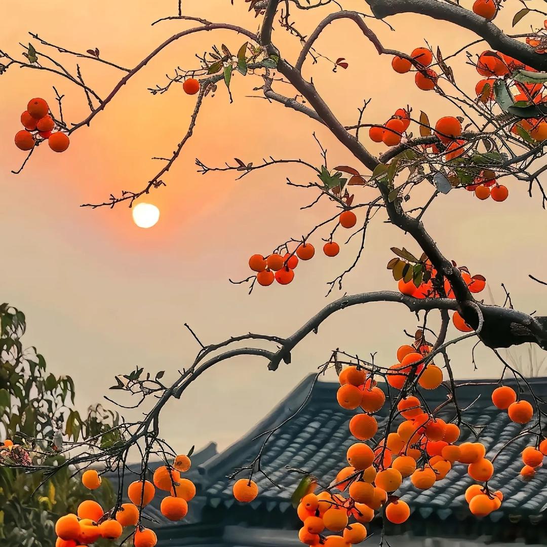 陈家有李