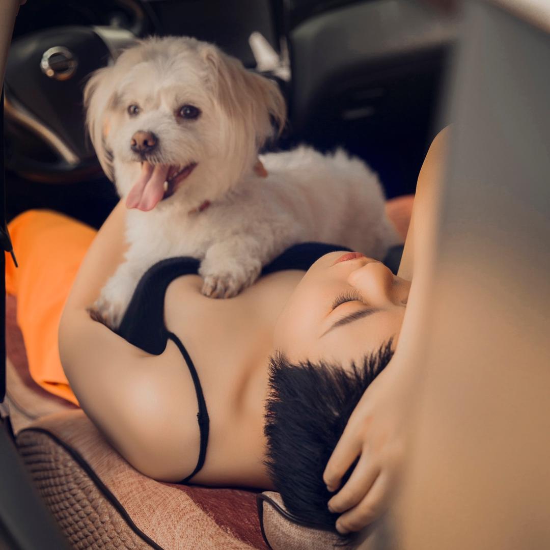 十二陪伴记（月子里十二去了汪星）