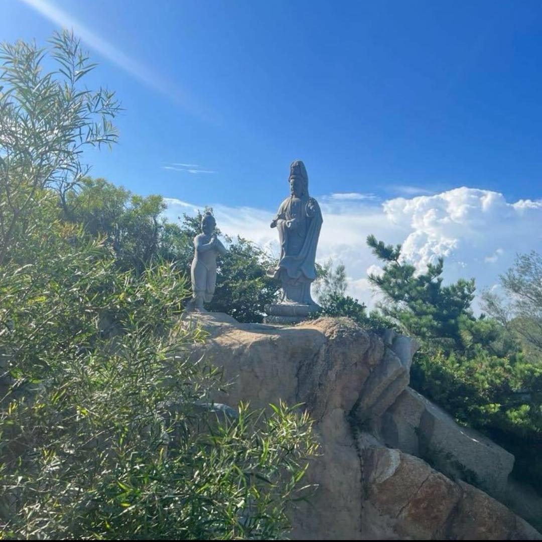 小黄