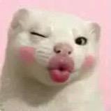 ꧔ꦿ᭄人间富贵花🌹^_^