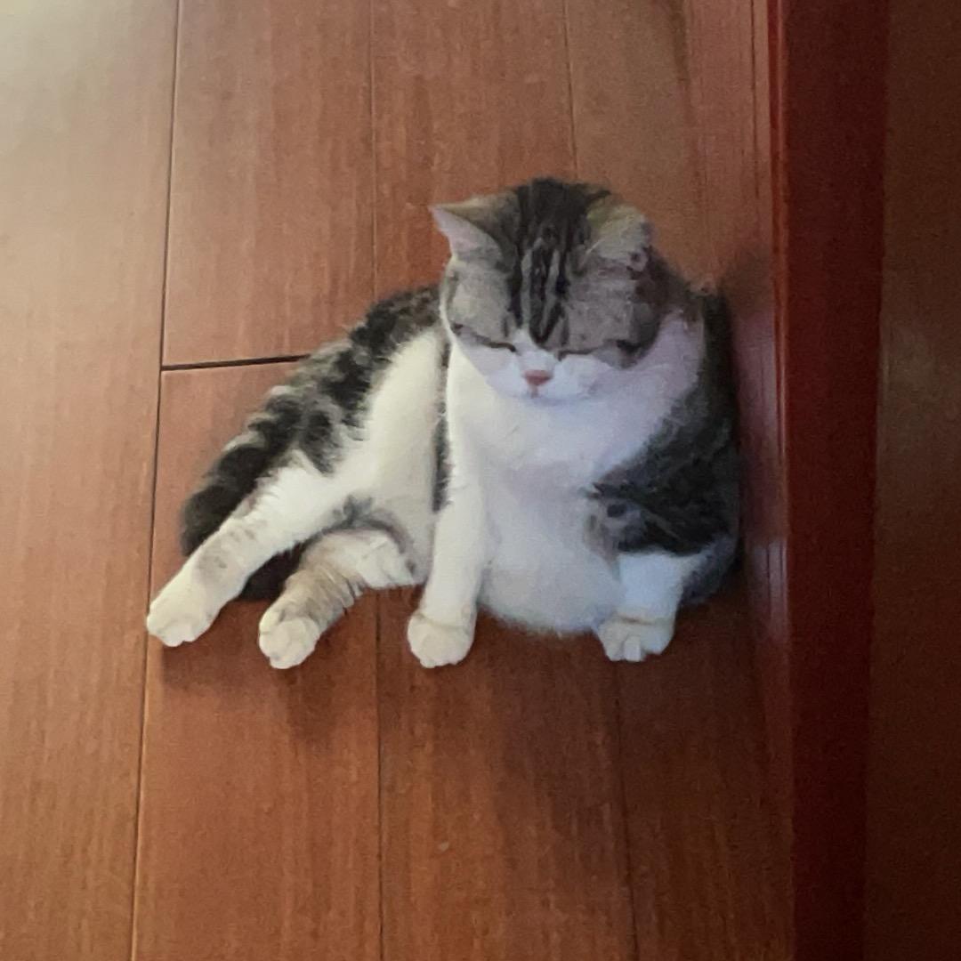 🌈💨是囧囧呀