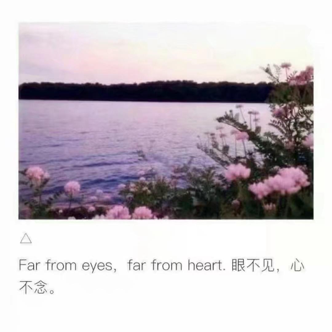 吃糖不吃苦🌻