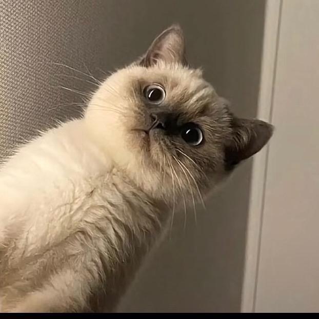 —