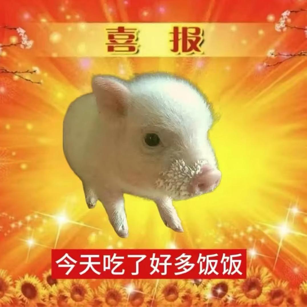 想你也天晴