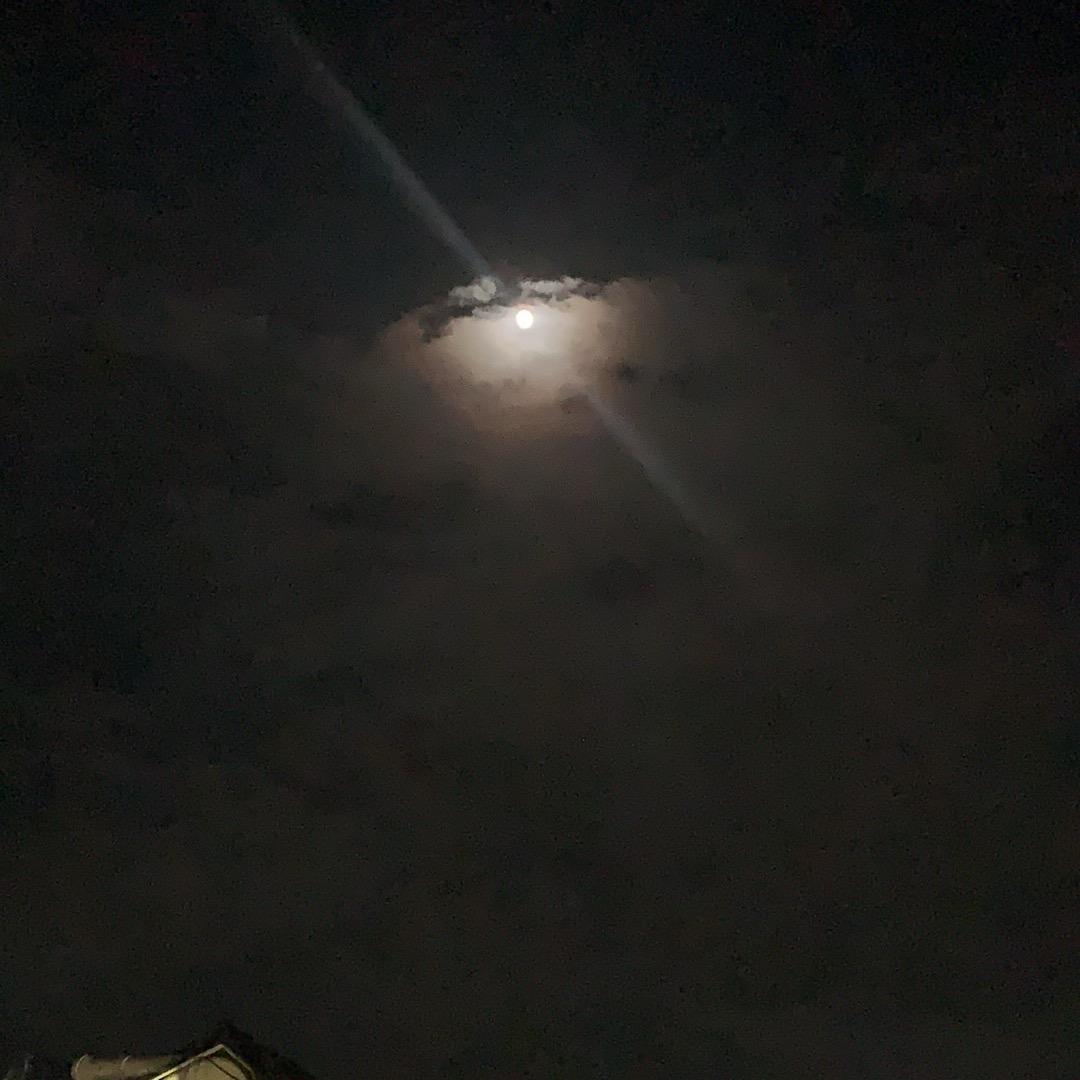 ::   ::