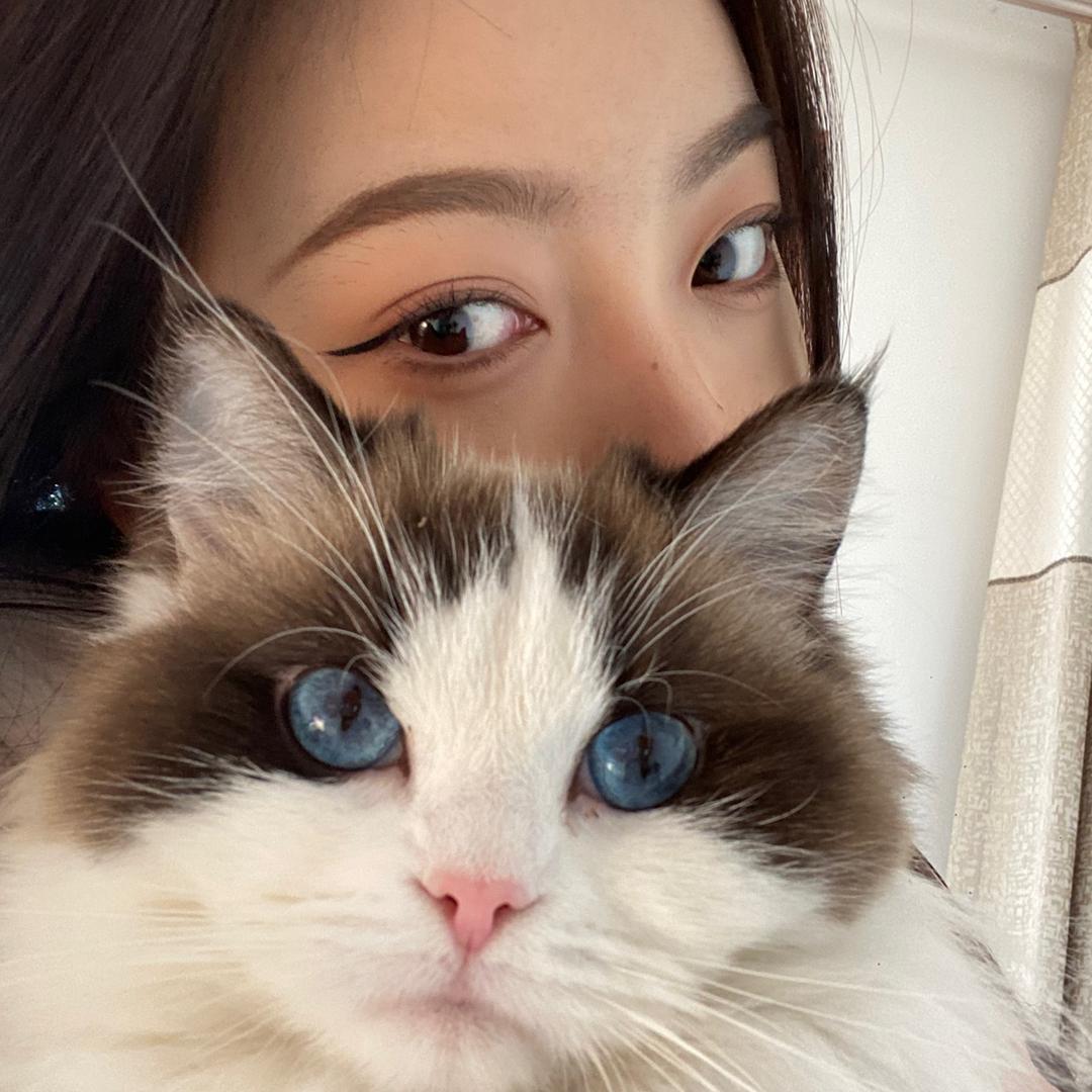 媛儿