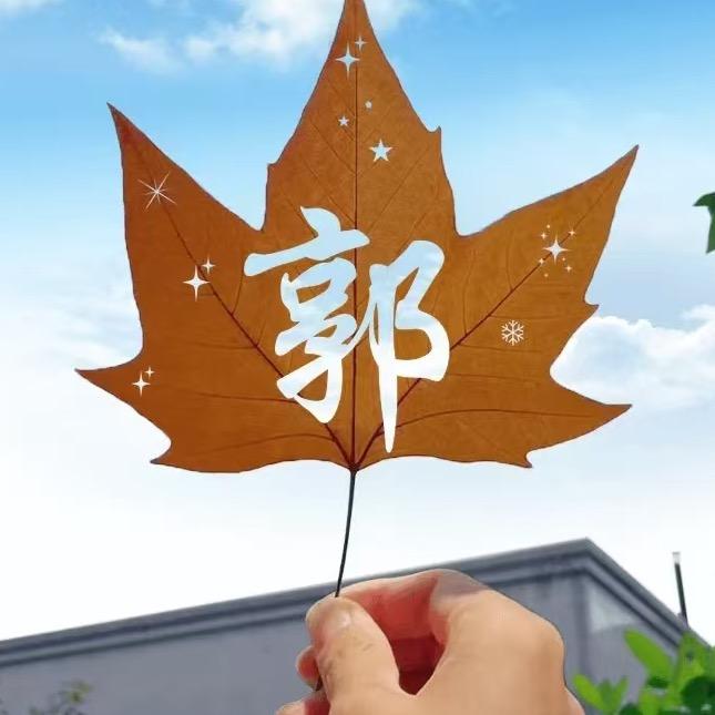 小哆啦🤫