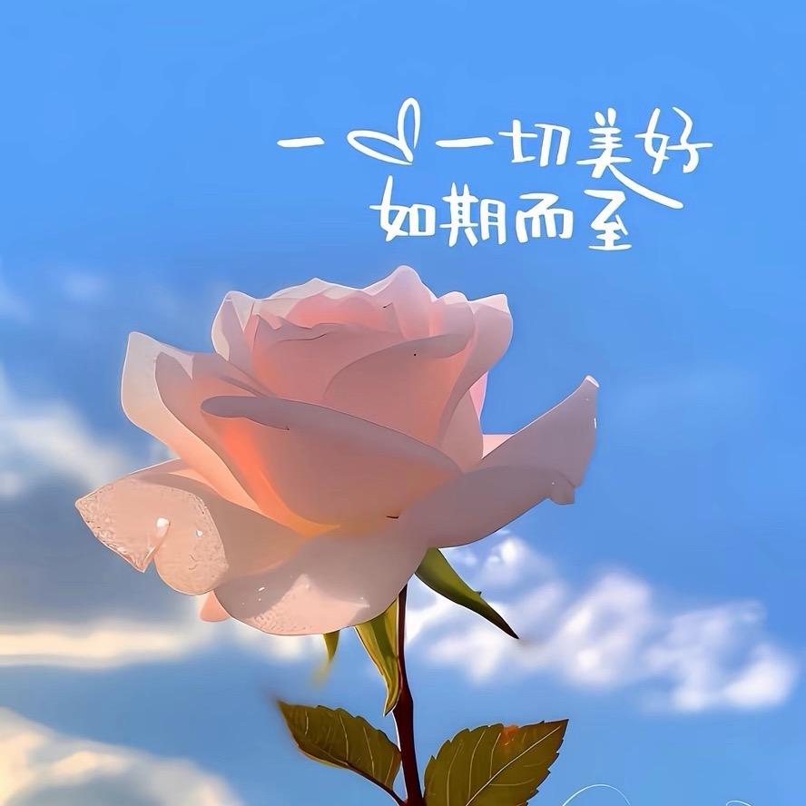 抚顺创秀好物精选