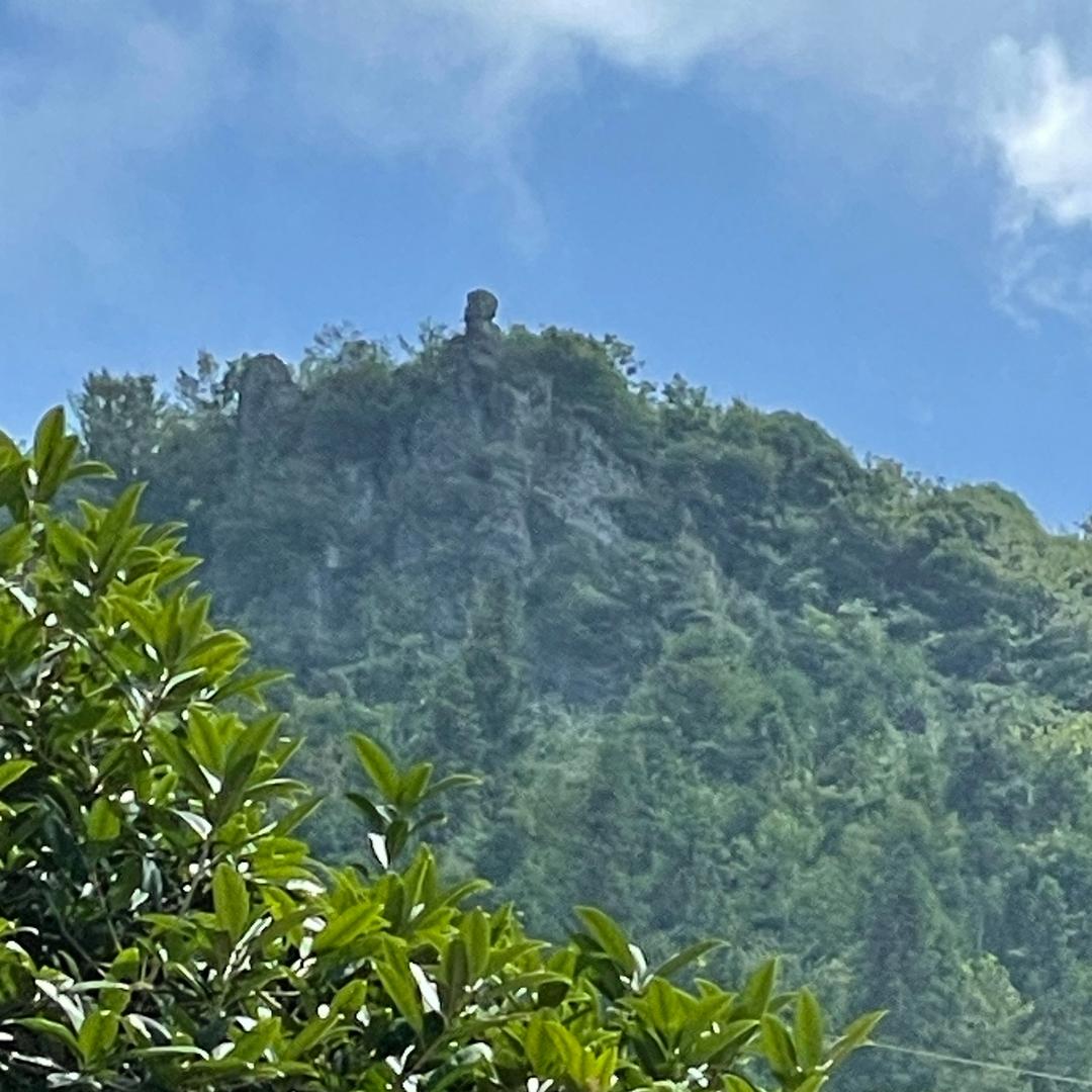 夺洞洞