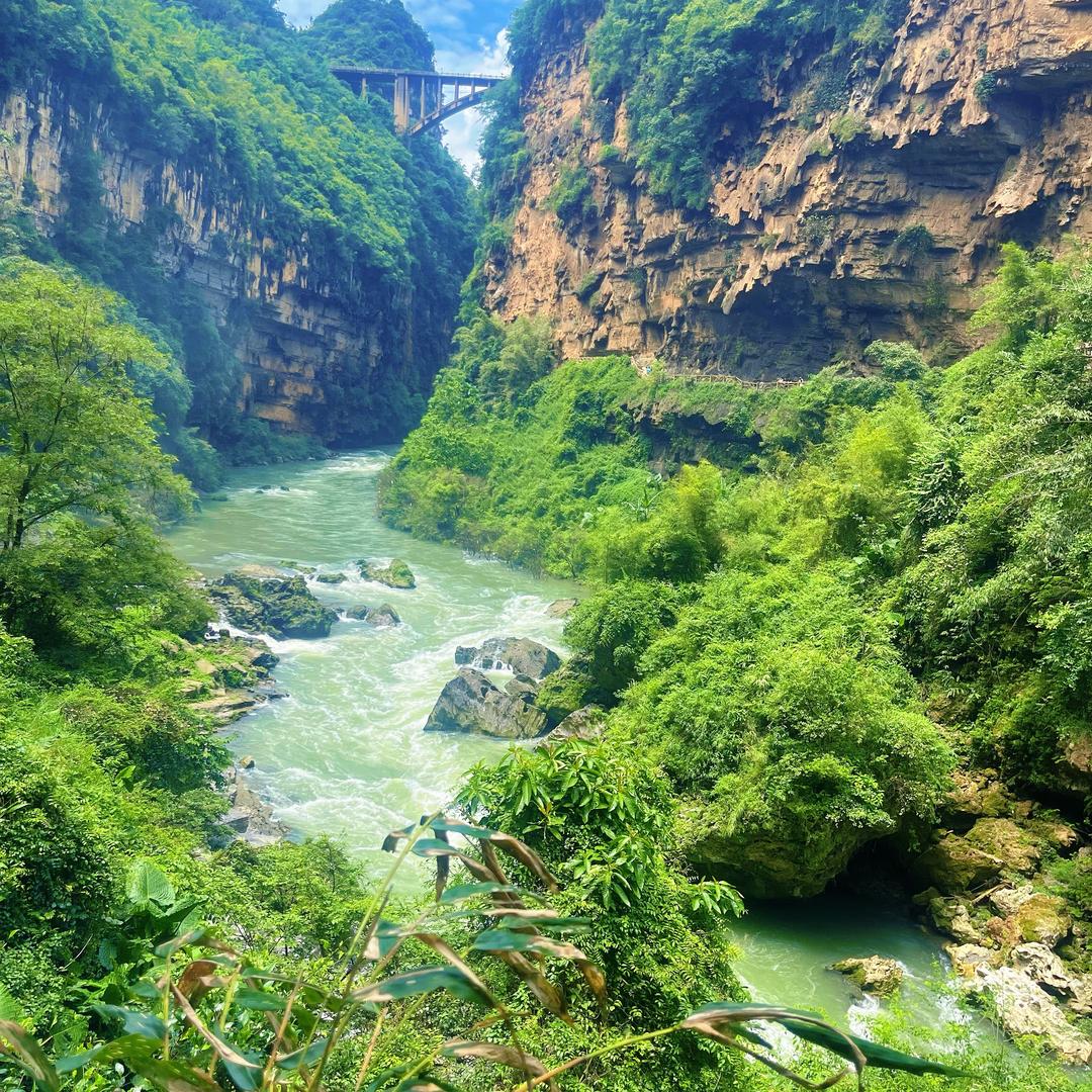 小杨在边境