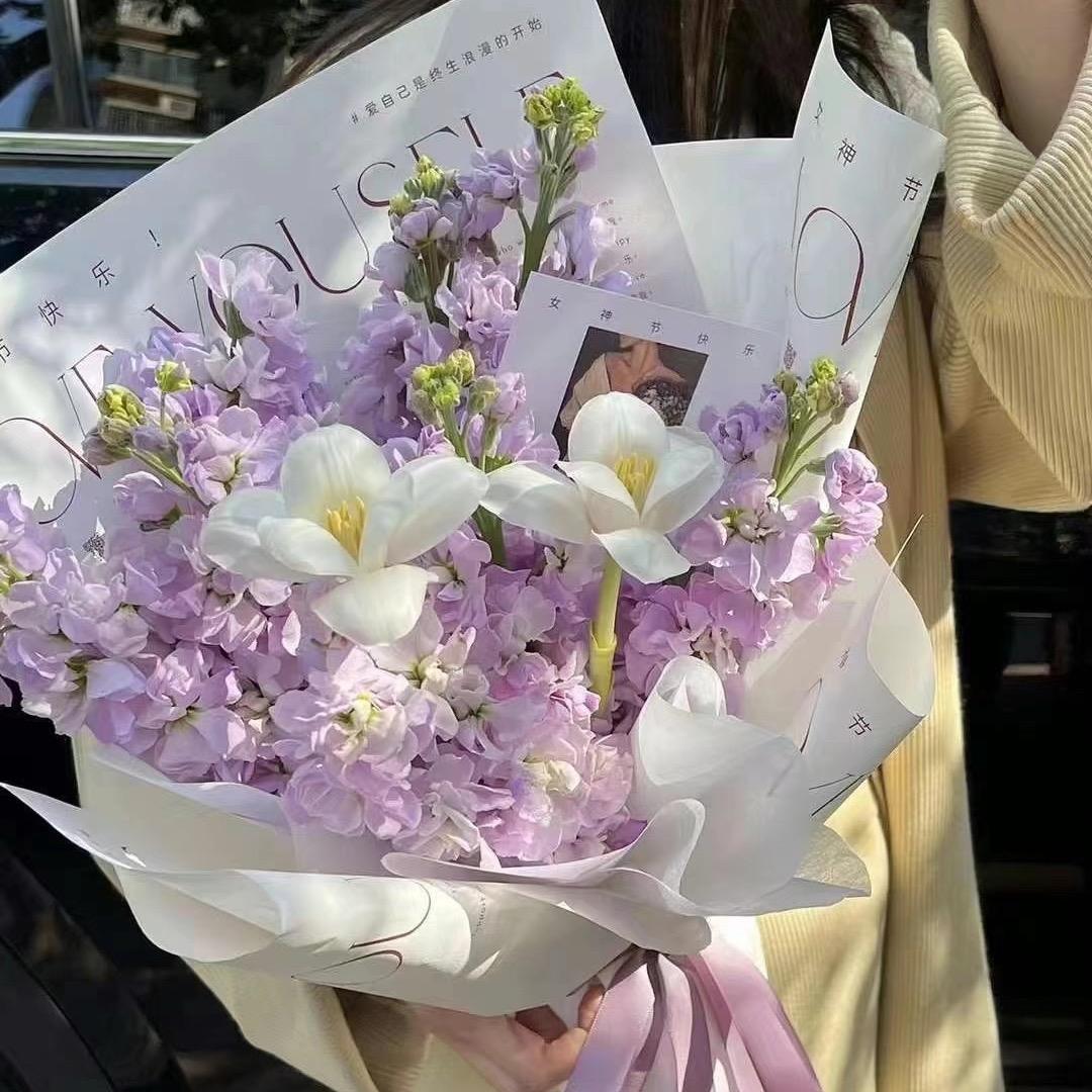 琳🌸