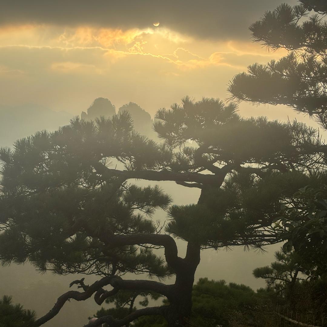 ღ᭄迃 幵ꫛ᭄এ