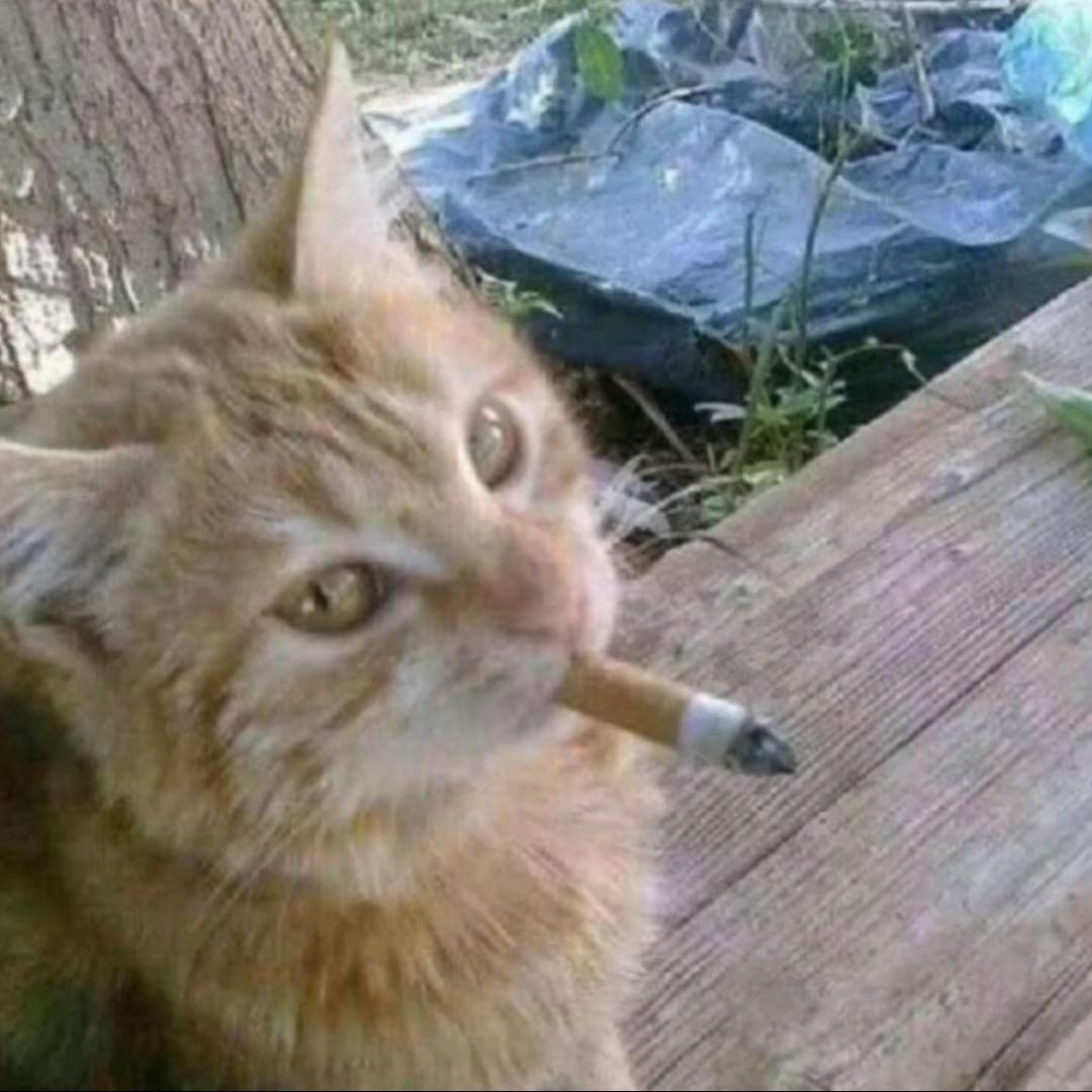 國