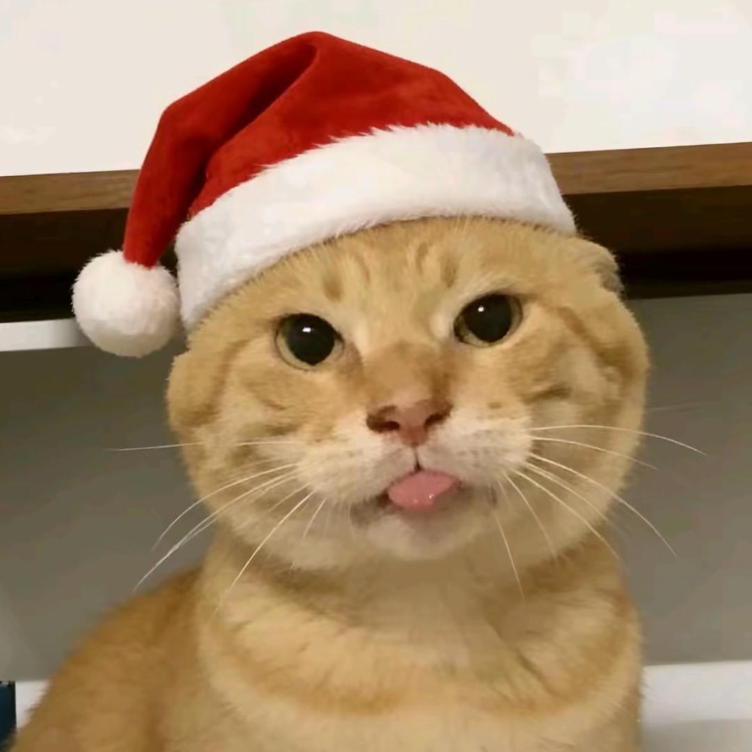 活着就是为了死