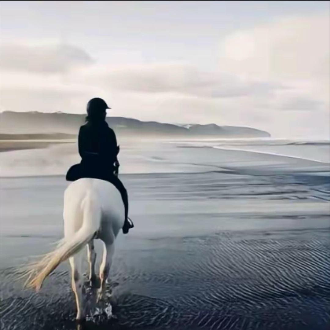 睡不醒