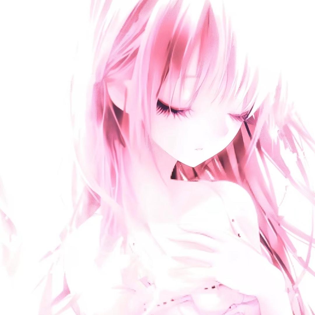 狸奴