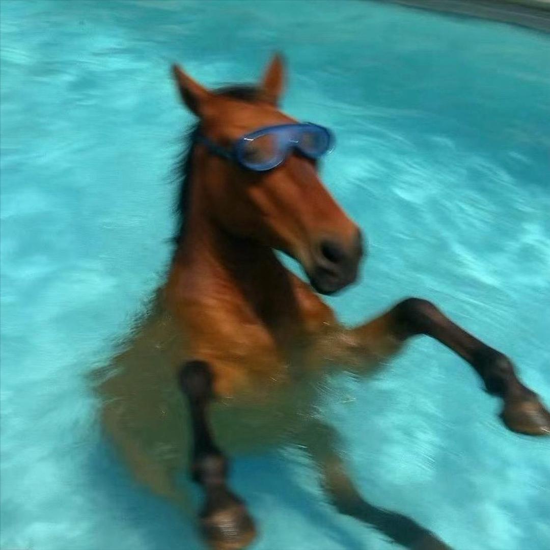 循梦iki（见过嘉祺读评论看镜头对视版