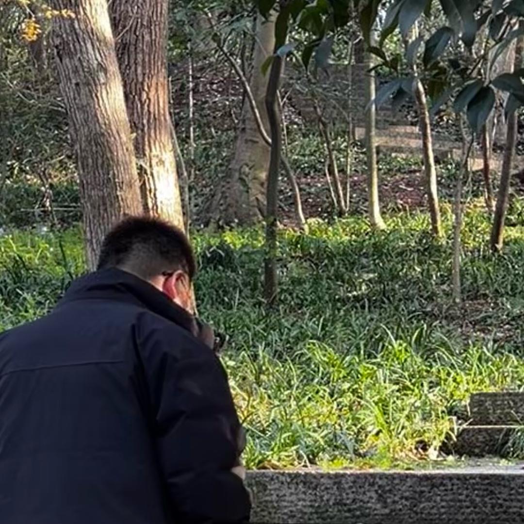 桉桉桉桉桉