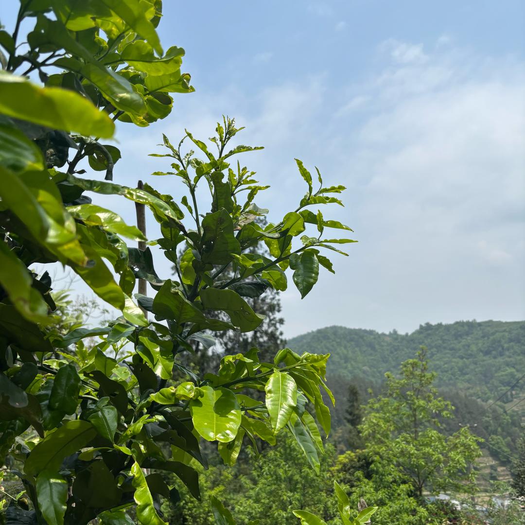 一路向北。
