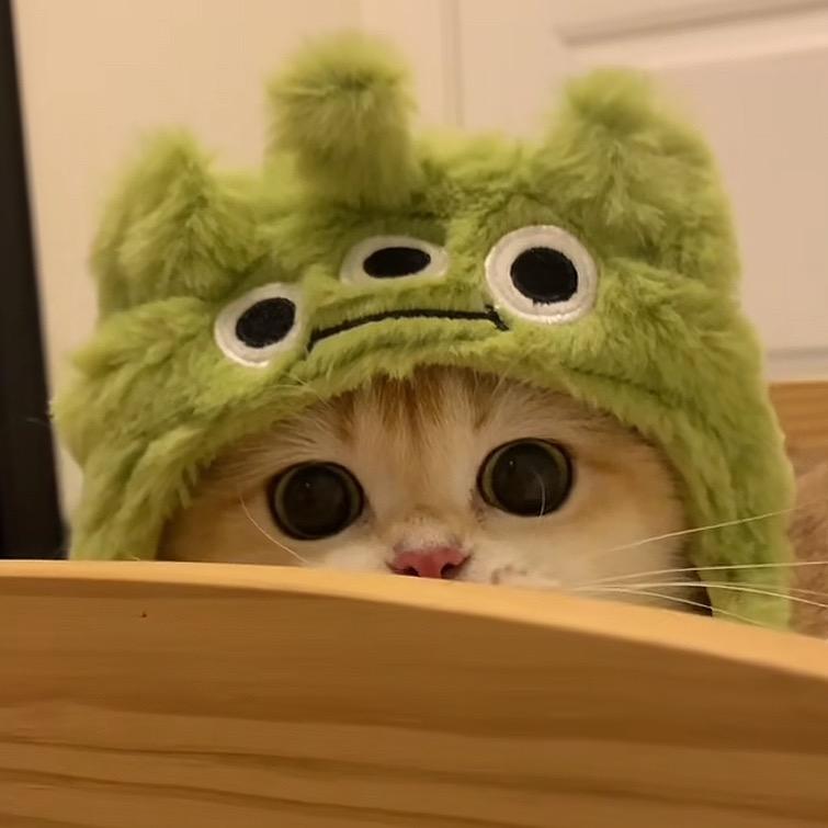 多多零度童装
