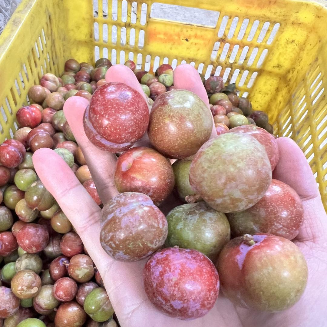果园直发鲜生