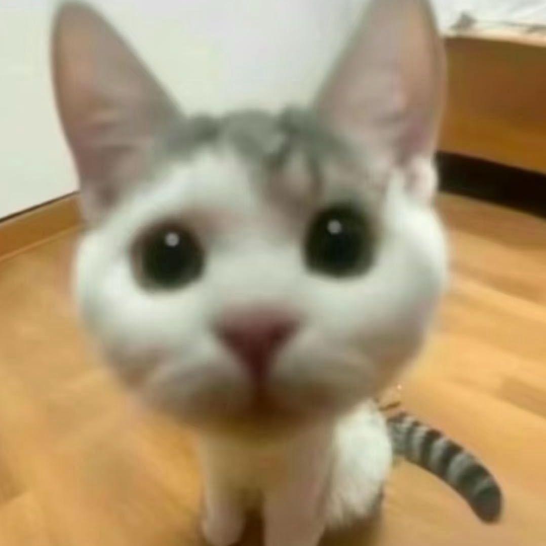 椰椰ouo