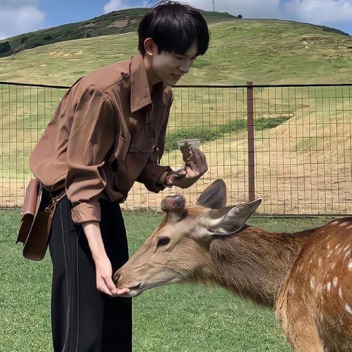 江柊